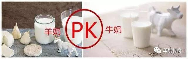 当羊奶遇上牛奶!